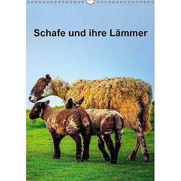Schafe und ihre Lämmer / Planer (Wandkalender 2018 DIN A3 hoch), Gabriela Wernicke-Marfo