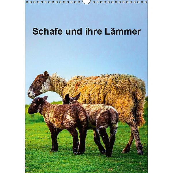 Schafe und ihre Lämmer / Planer (Wandkalender 2019 DIN A3 hoch), Gabriela Wernicke-Marfo