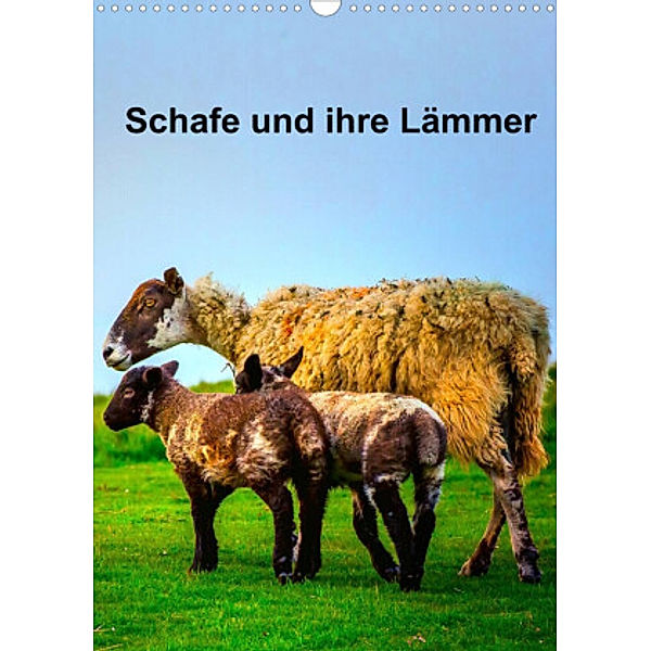 Schafe und ihre Lämmer / Planer (Wandkalender 2022 DIN A3 hoch), Gabriela Wernicke-Marfo