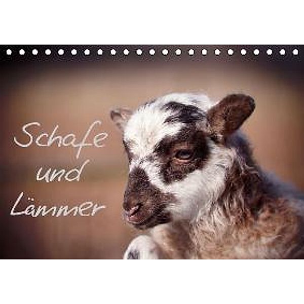 Schafe und Lämmer (Tischkalender 2016 DIN A5 quer), Hermann Greiling