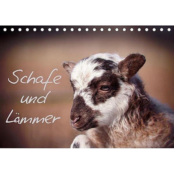 Schafe und Lämmer (Tischkalender 2017 DIN A5 quer), Hermann Greiling