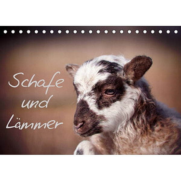 Schafe und Lämmer (Tischkalender 2022 DIN A5 quer), Hermann Greiling