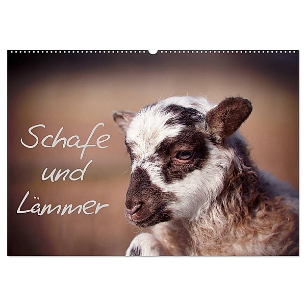 Schafe und Lämmer (Wandkalender 2024 DIN A2 quer), CALVENDO Monatskalender, Hermann Greiling