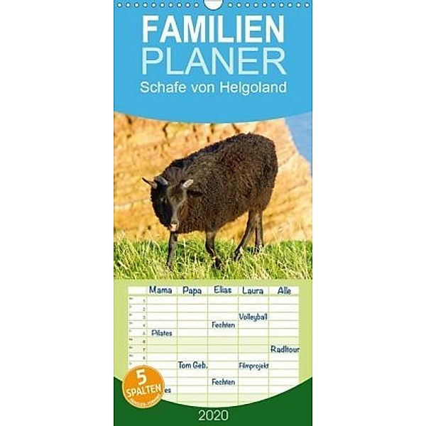Schafe von Helgoland - Familienplaner hoch (Wandkalender 2020 , 21 cm x 45 cm, hoch)