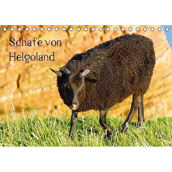 Schafe von Helgoland (Tischkalender 2014 DIN A5 quer), kattobello