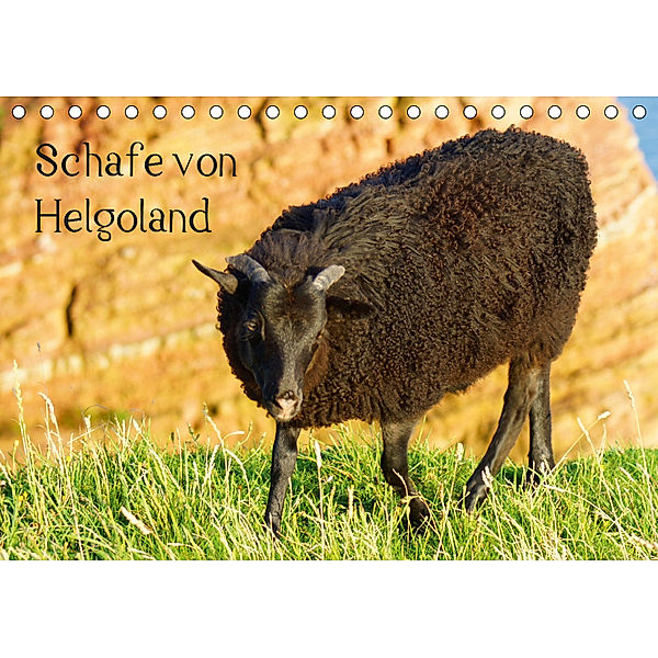 Schafe von Helgoland (Tischkalender 2019 DIN A5 quer), Kattobello