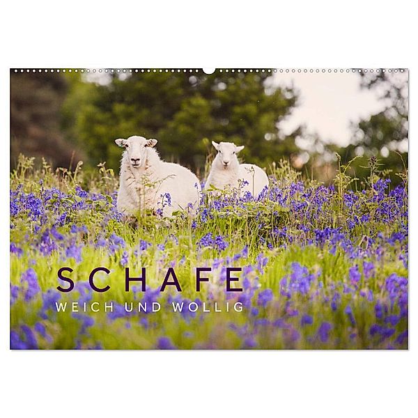 Schafe - Weich und wollig (Wandkalender 2024 DIN A2 quer), CALVENDO Monatskalender, Lain Jackson
