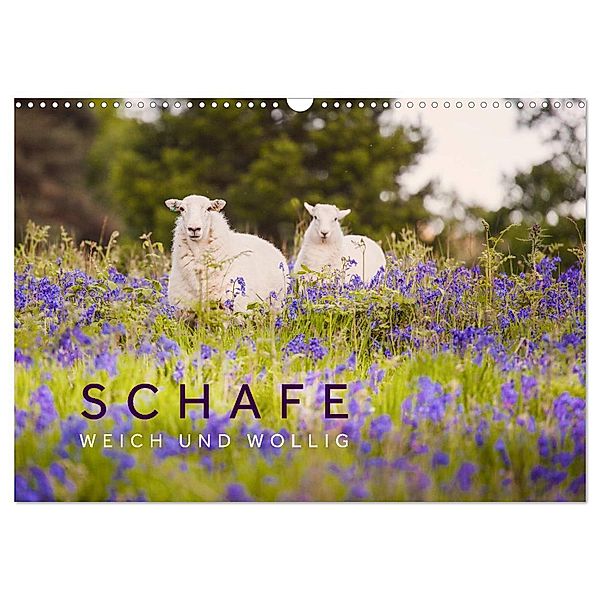 Schafe - Weich und wollig (Wandkalender 2025 DIN A3 quer), CALVENDO Monatskalender, Calvendo, Lain Jackson