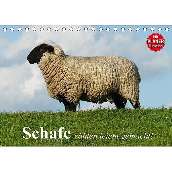 Schafe zählen leicht gemacht! (Tischkalender 2017 DIN A5 quer), Elisabeth Stanzer