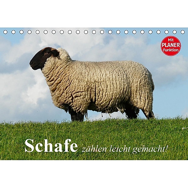 Schafe zählen leicht gemacht! (Tischkalender 2021 DIN A5 quer), Elisabeth Stanzer