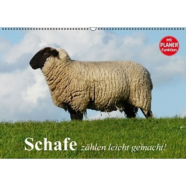 Schafe zählen leicht gemacht! (Wandkalender 2016 DIN A2 quer), Elisabeth Stanzer
