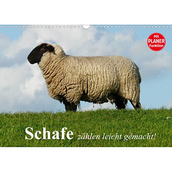Schafe zählen leicht gemacht! (Wandkalender 2022 DIN A3 quer), Elisabeth Stanzer