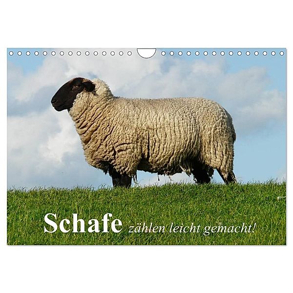 Schafe zählen leicht gemacht! (Wandkalender 2024 DIN A4 quer), CALVENDO Monatskalender, Elisabeth Stanzer