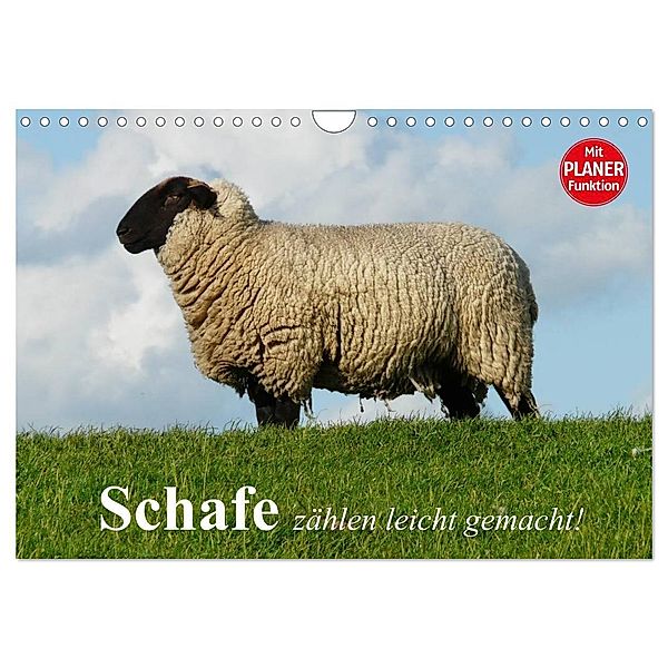 Schafe zählen leicht gemacht! (Wandkalender 2024 DIN A4 quer), CALVENDO Monatskalender, Elisabeth Stanzer