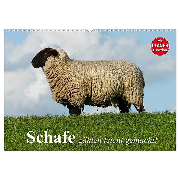 Schafe zählen leicht gemacht! (Wandkalender 2025 DIN A2 quer), CALVENDO Monatskalender, Calvendo, Elisabeth Stanzer