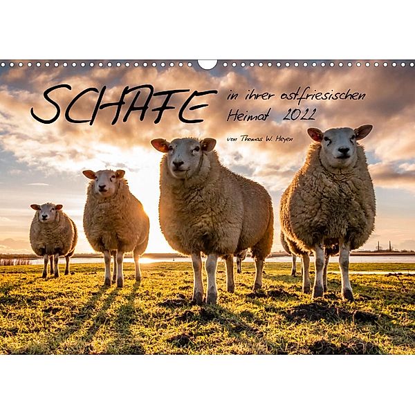 Schafe2022 (Wandkalender 2022 DIN A3 quer), Thomas W. Heyen