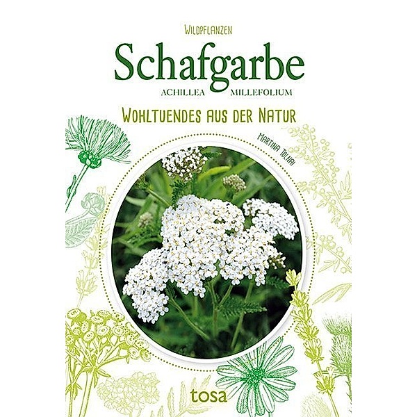 Schafgarbe - Achillea Millefolium, Martina Tolnai