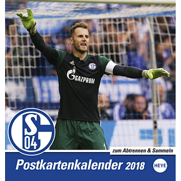 Schalke 04 Sammelkartenkalender 2018