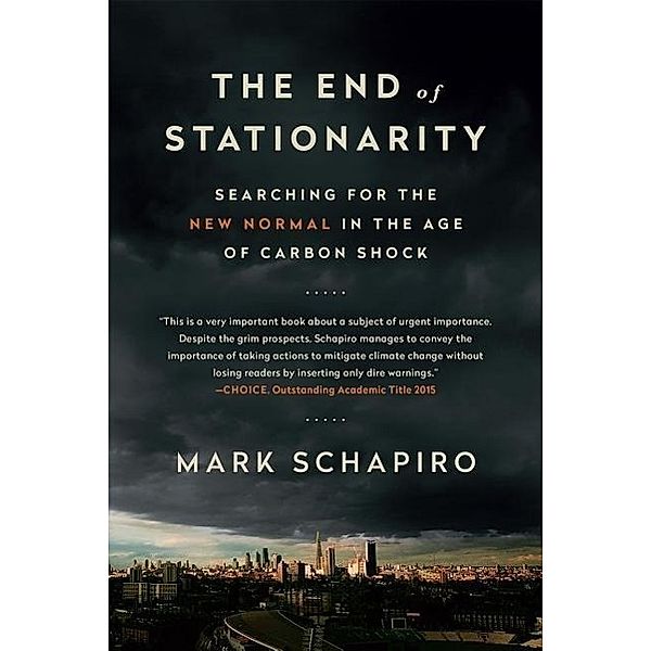 Schapiro, M: End of Stationarity, Mark Schapiro