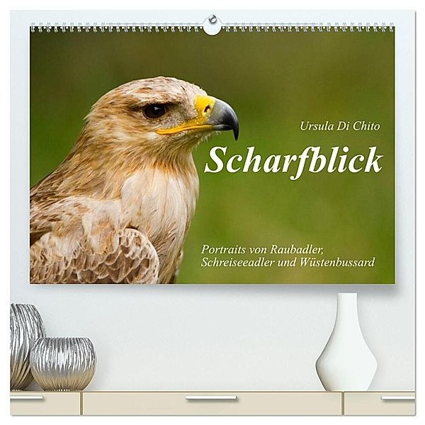 Scharfblick (hochwertiger Premium Wandkalender 2025 DIN A2 quer), Kunstdruck in Hochglanz, Calvendo, Ursula Di Chito