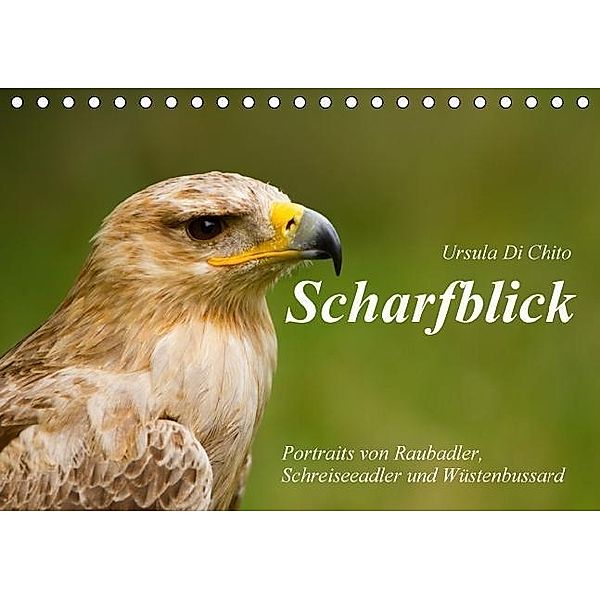 Scharfblick (Tischkalender 2016 DIN A5 quer), Ursula Di Chito