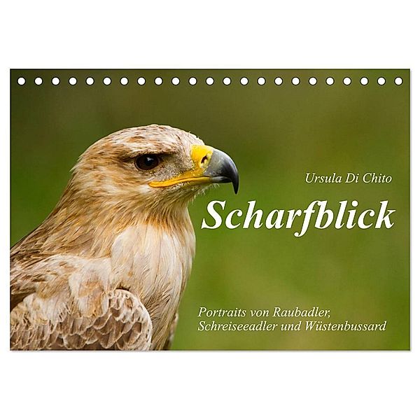 Scharfblick (Tischkalender 2025 DIN A5 quer), CALVENDO Monatskalender, Calvendo, Ursula Di Chito