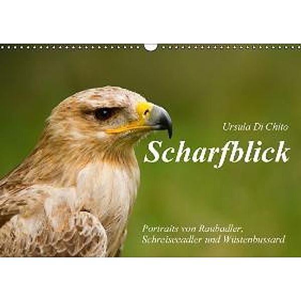 Scharfblick (Wandkalender 2015 DIN A3 quer), Ursula Di Chito