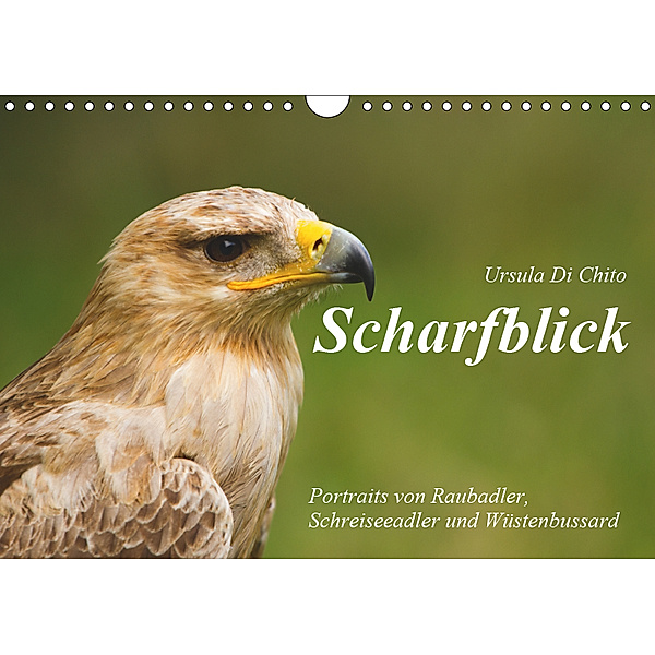 Scharfblick (Wandkalender 2019 DIN A4 quer), Ursula Di Chito