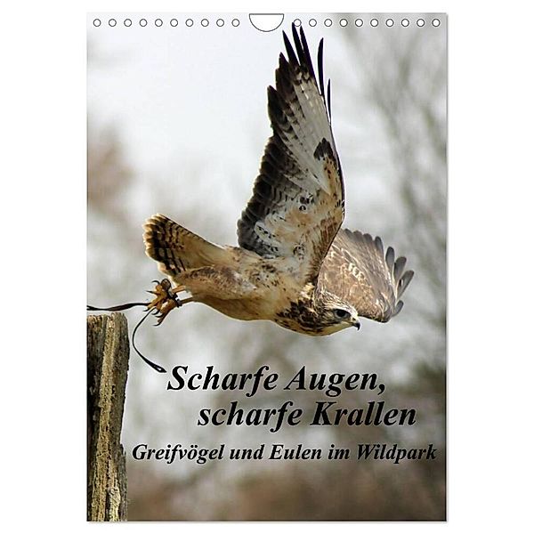 Scharfe Krallen, scharfe Augen, Greifvögel und Eulen im Wildpark (Wandkalender 2024 DIN A4 hoch), CALVENDO Monatskalender, Marion Bönner