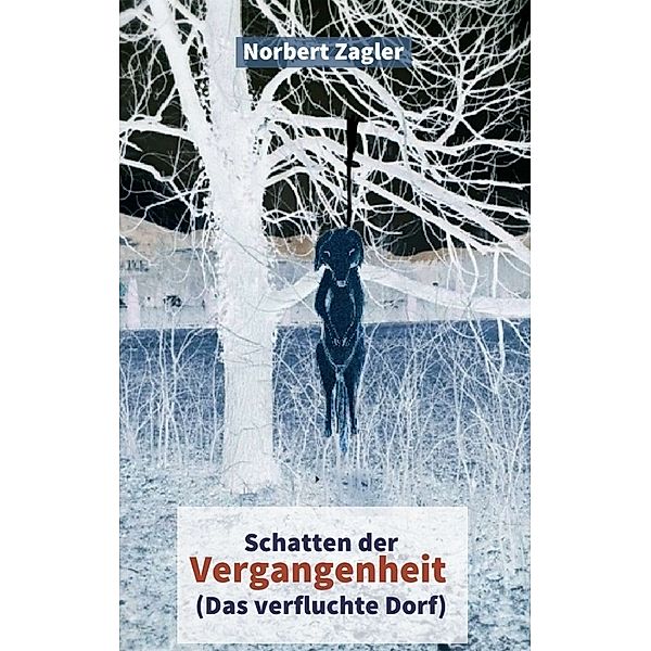 Schatten der Vergangenheit - Das verfluchte Dorf, Norbert Zagler