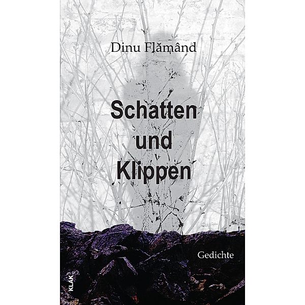 Schatten und Klippen, Dinu Flamând