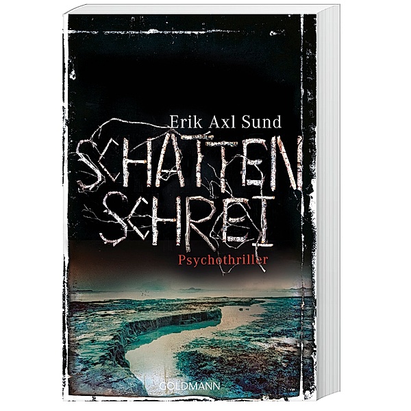 Schattenschrei / Victoria Bergman Trilogie Bd.3, Erik Axl Sund