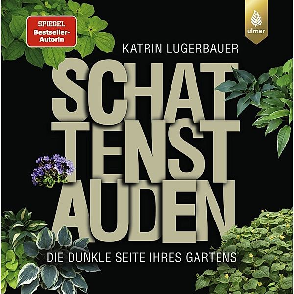 Schattenstauden, Katrin Lugerbauer