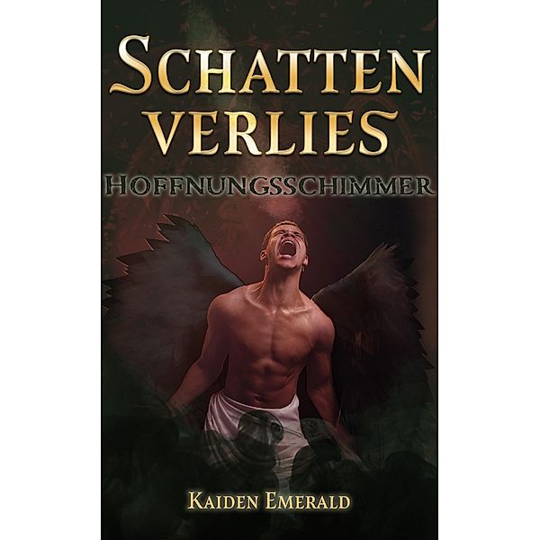 Schattenverlies: Hoffnungsschimmer / Schattenverlies Bd.3, Kaiden Emerald