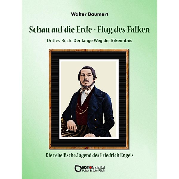 Schau auf die Erde - Der Flug des Falken. Drittes Buch: Der lange Weg der Erkenntnis / Schau auf die Erde - Der Flug des Falken Bd.3, Walter Baumert