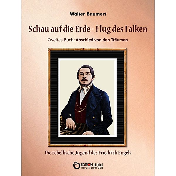 Schau auf die Erde - Der Flug des Falken. Zweites Buch: Abschied von den Träumen / Schau auf die Erde - Der Flug des Falken Bd.2, Walter Baumert