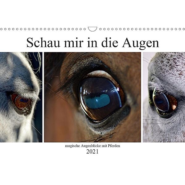 Schau mir in die Augen - magische Augenblicke mit Pferden (Wandkalender 2021 DIN A3 quer), Fotokullt, Isabell Kull