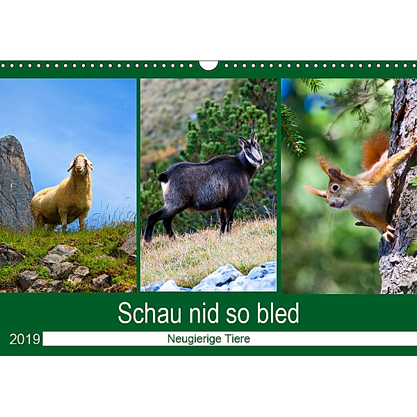 Schau nid so bled (Wandkalender 2019 DIN A3 quer), Christa Kramer