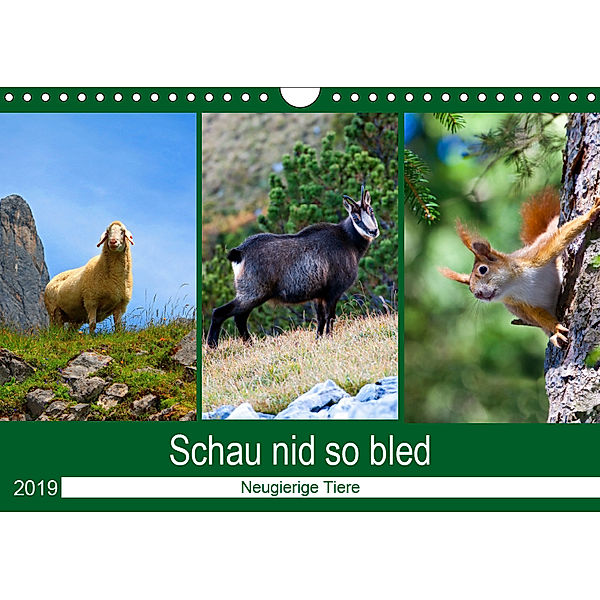 Schau nid so bled (Wandkalender 2019 DIN A4 quer), Christa Kramer