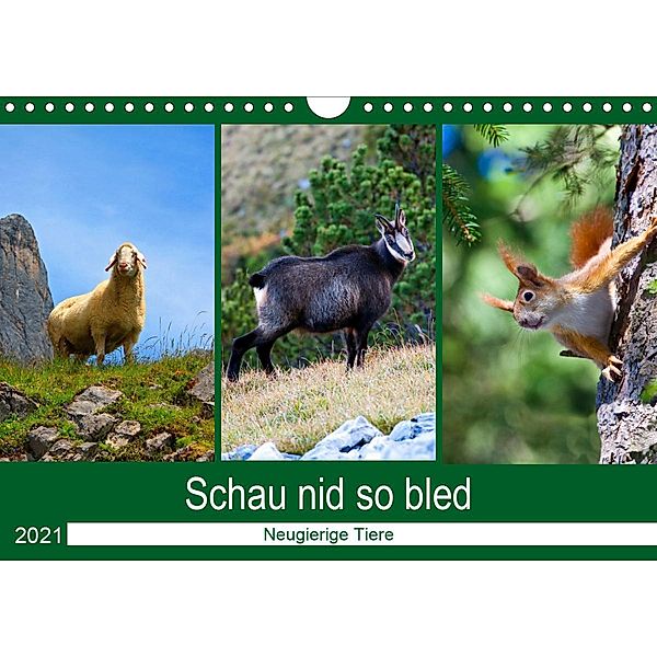 Schau nid so bled (Wandkalender 2021 DIN A4 quer), Christa Kramer