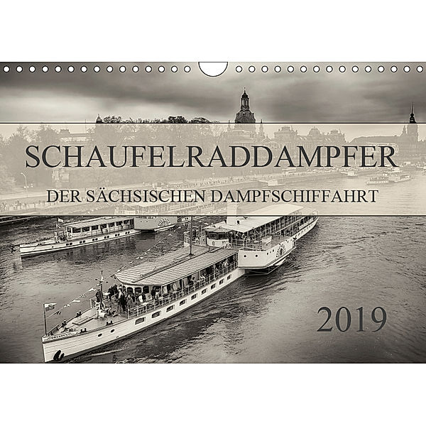 Schaufelraddampfer der Sächsischen Dampfschiffahrt (Wandkalender 2019 DIN A4 quer), Dirk Meutzner