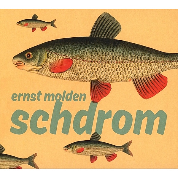 Schdrom, Ernst Molden