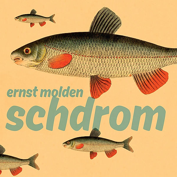 Schdrom (Lp+Cd/180gr.) (Vinyl), Ernst Molden