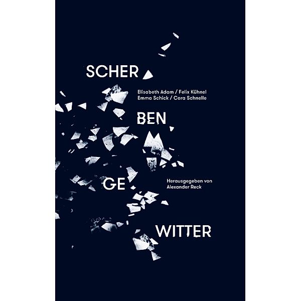 Scherbengewitter / schreibraum.dillmann Bd.1, Elisabeth Adam, Felix Kühnel, Emma Schick, Cora Schnelle