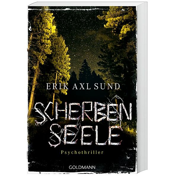 Scherbenseele / Kronoberg Bd.1, Erik Axl Sund
