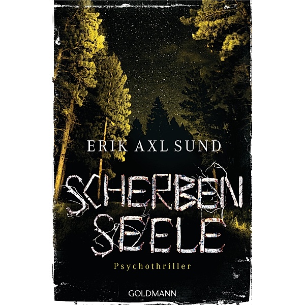 Scherbenseele / Kronoberg Bd.1, Erik Axl Sund