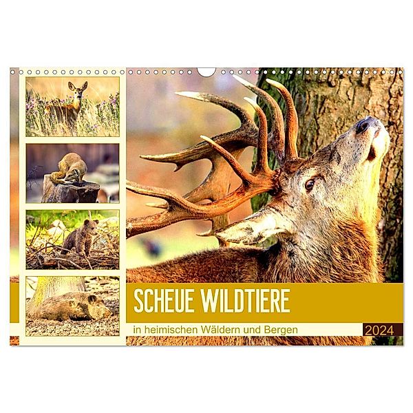 Scheue Wildtiere in heimischen Wäldern und Bergen (Wandkalender 2024 DIN A3 quer), CALVENDO Monatskalender, Rose Hurley