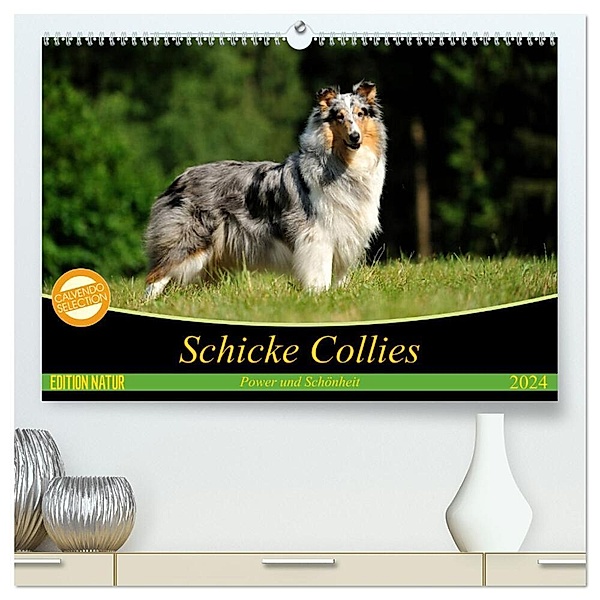 Schicke Collies (hochwertiger Premium Wandkalender 2024 DIN A2 quer), Kunstdruck in Hochglanz, Yvonne Janetzek