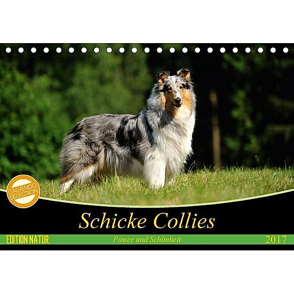 Schicke Collies (Tischkalender 2017 DIN A5 quer), Yvonne Janetzek