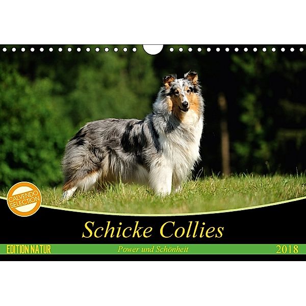 Schicke Collies (Wandkalender 2018 DIN A4 quer) Dieser erfolgreiche Kalender wurde dieses Jahr mit gleichen Bildern und, Yvonne Janetzek